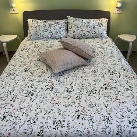 Al Ventisei - Treiso